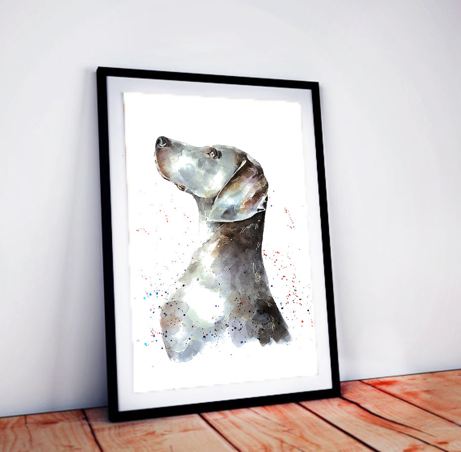 Weimaraner | Original Watercolour | Dog Lover Gift | Edswatercolours