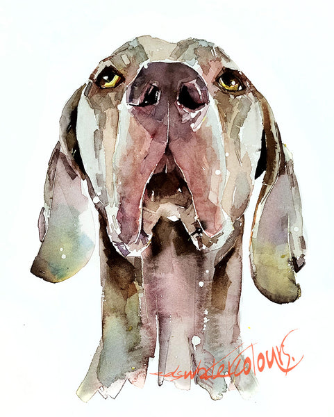 Original Mini “Weimaraner Head Study” Watercolour – 18x12cm Framed Dog Portrait by Edswatercolours