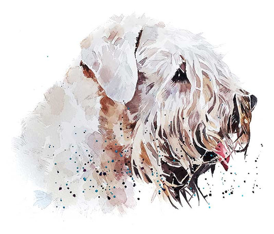 Wheaten Terrier The Thinker | Dog Art Print | Edswatercolours