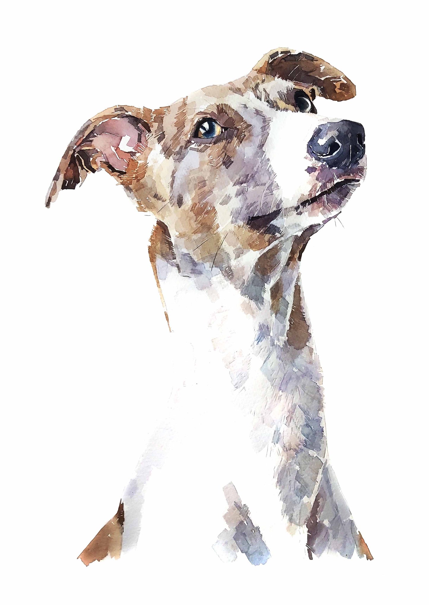 Sight Hound/Whippet II | Dog Art Print | Edswatercolours