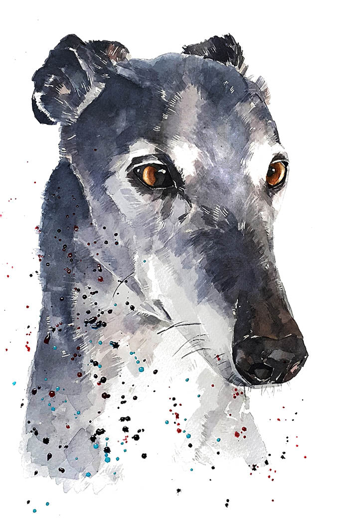 Whippet/Sighthound | Dog Art Print | Edswatercolours