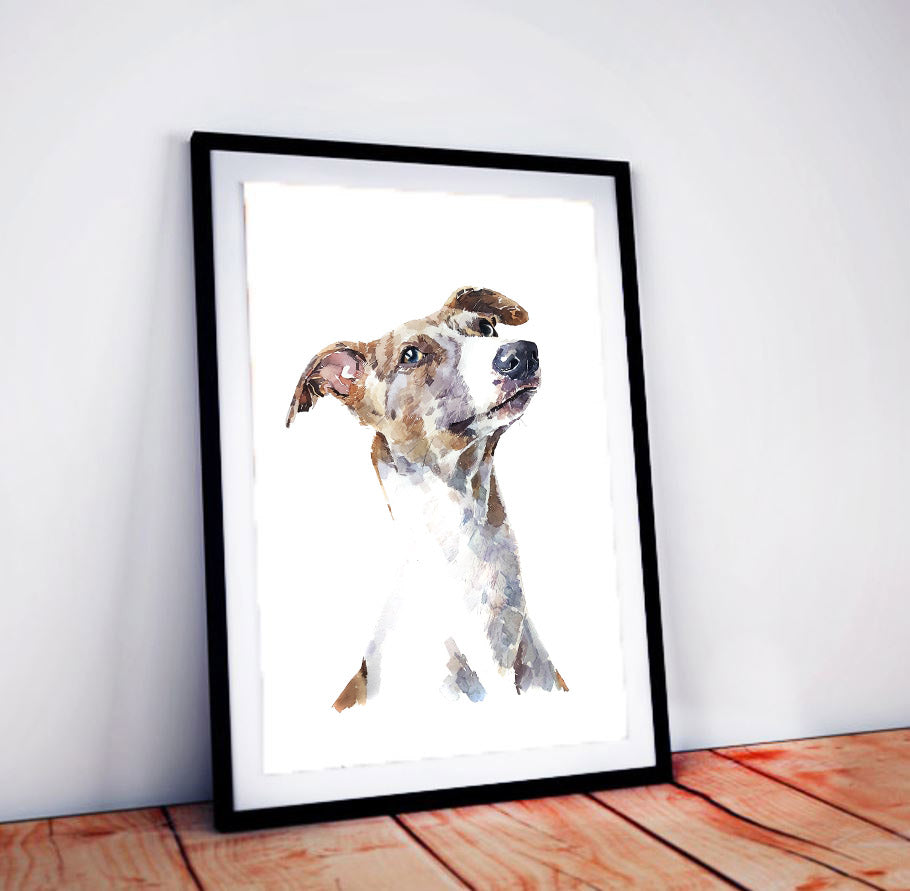 Sight Hound/Whippet II | Dog Art Print | Edswatercolours