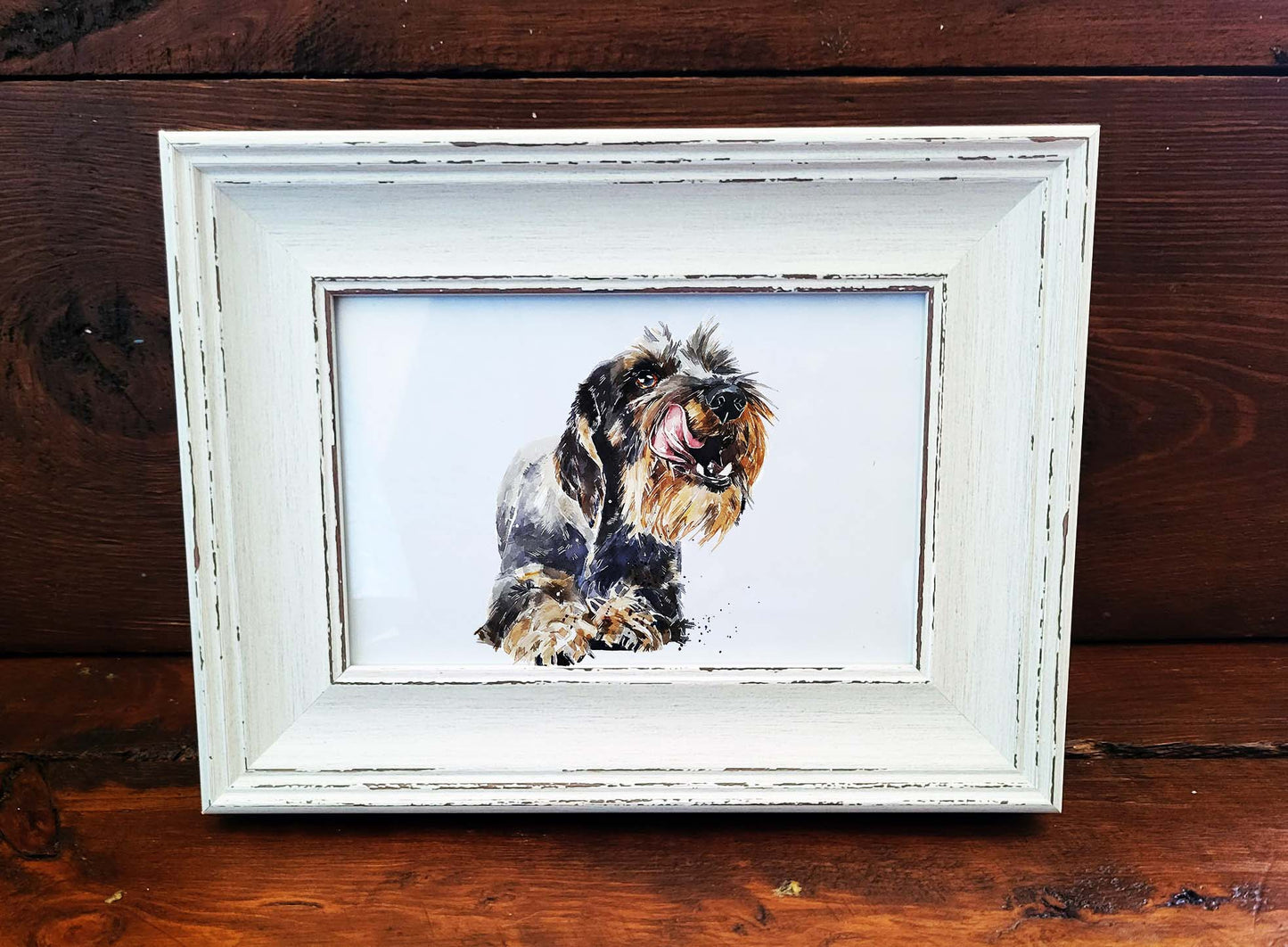 Wirehaired Dachshund Mini Art Print 17x12cm – Framed White Rustic Dog Portrait – Sausage Dog Gift, Scruffy Pup Art, Edswatercolours