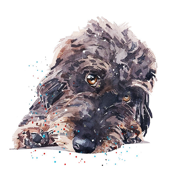 Wirehaired Dachshund Reclined | Dog Art Print | Edswatercolours