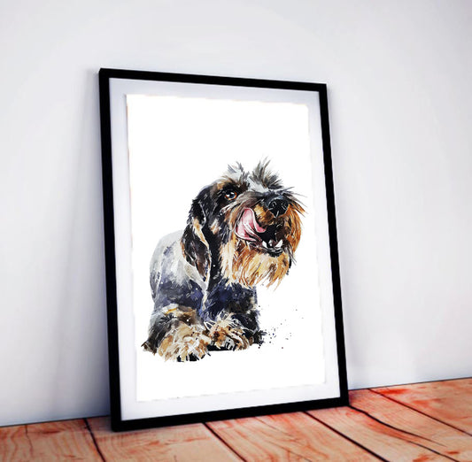 Wirehaired Dachshund II | Original Watercolour | Dog Lover Gift | Edswatercolours
