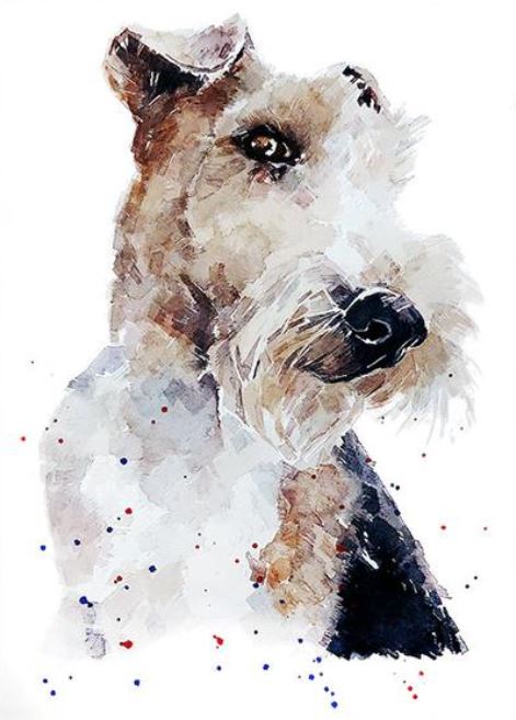 Wire Fox Terrier" -  Original Watercolour (A2/20*16 Inches). Fox Terrier Watercolor,Fox Terrier Watercolour,Wire haired Fox Terrier art