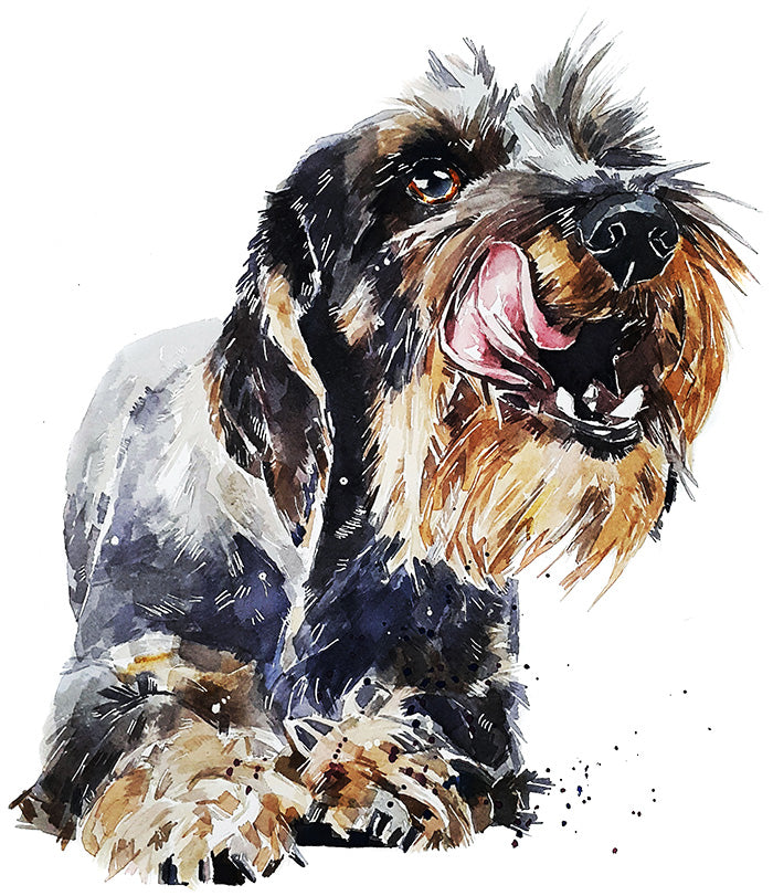 Wirehaired Dachshund II | Original Watercolour | Dog Lover Gift | Edswatercolours