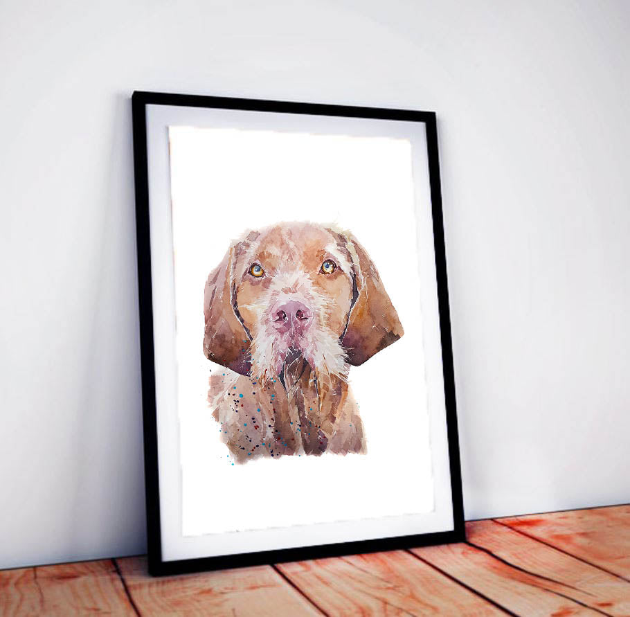Wirehaired Vizsla Regal | Dog Art Print | Edswatercolours