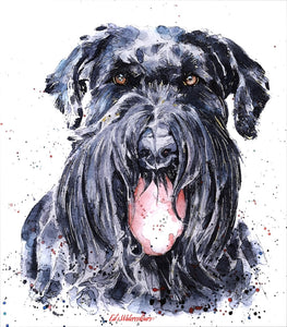 "Giant Schnauzer " - Watercolour Print