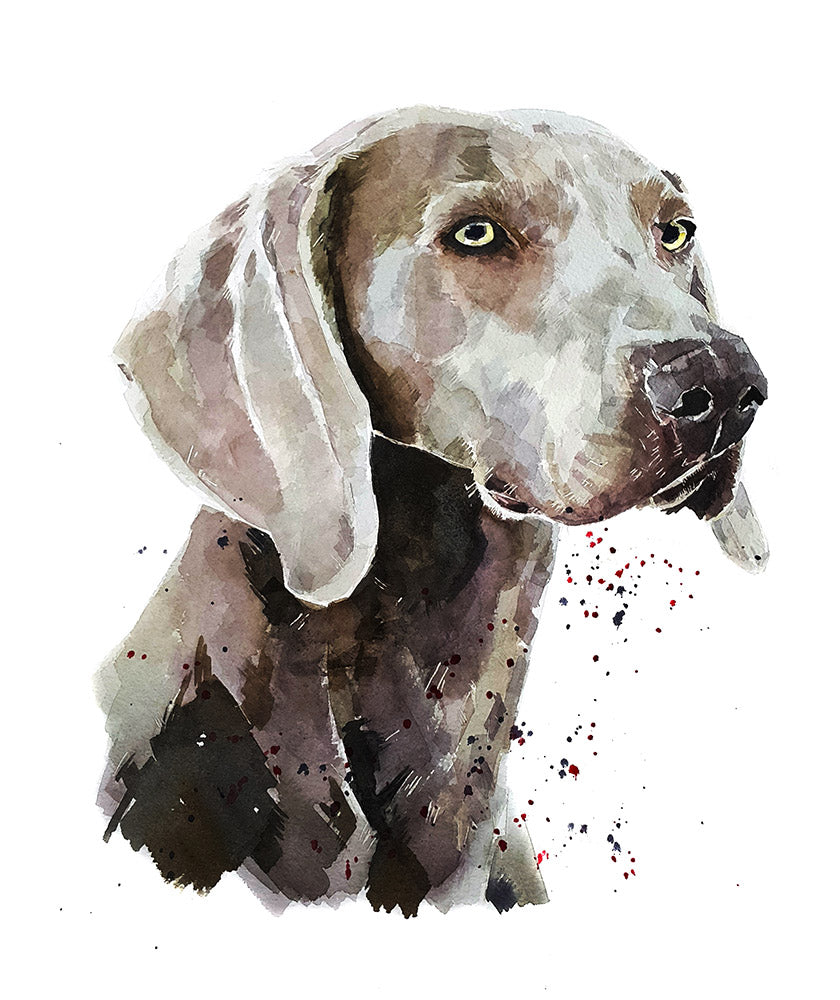 Original watercolour paintings