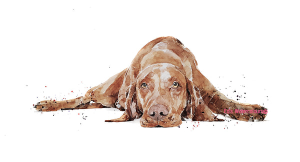 "Vizsla: Sound Awake" - Watercolour Print