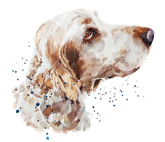 Cocker Spaniel " Print Watercolour. Cocker Spaniel art,Cocker Spaniel watercolour,Cocker Spaniel watercolor,Cocker Spaniel art print,Cocker