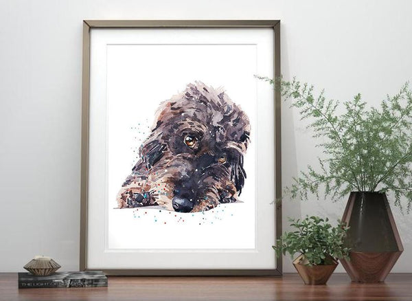 Wirehaired Dachshund Reclined " Print Watercolour, Wire Doxie, Wire Doxie Art, Wirehaired Dachshund Print,Wirehaired Dachshund wall hanging