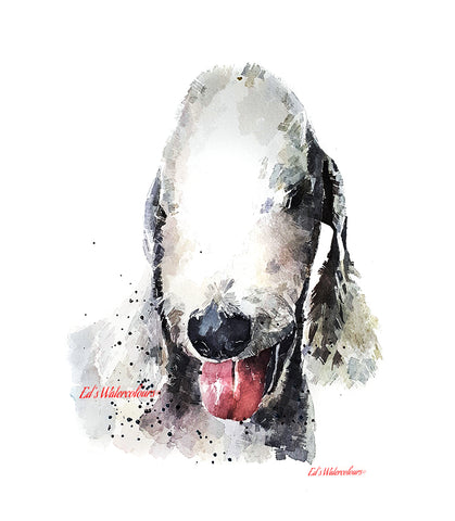 Bedlington Terrier Pomp - Watercolour Print.Bedlington Terrier art print,Bedlington Terrier watercolour,Bedlington Terrier wall art