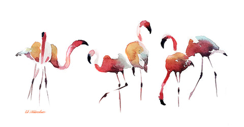 "Flamingos" - Watercolour Print