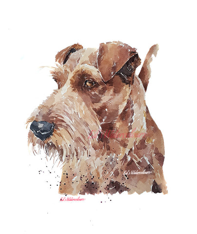 "Irish Terrier: Regal" - Watercolour Original