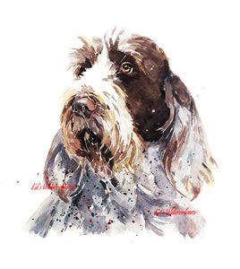 Spinone Lost in Thought " Print Watercolour.Spinone art,Spinone print,Spinone dog art,Spinone wall hanging,Spinone home decor