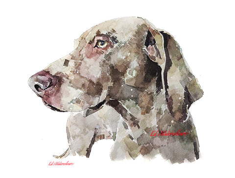 "Weimaraner: Strike A Pose" - Watercolour Print