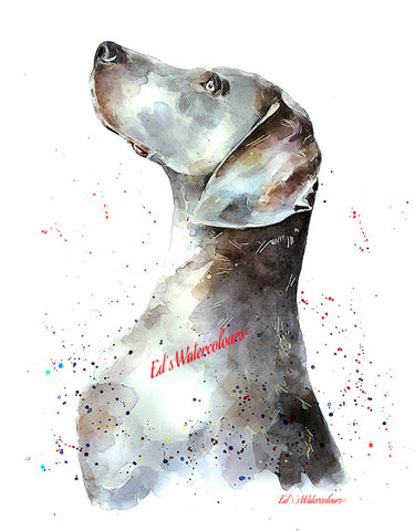 "Weimaraner: Regal" - Watercolour Print