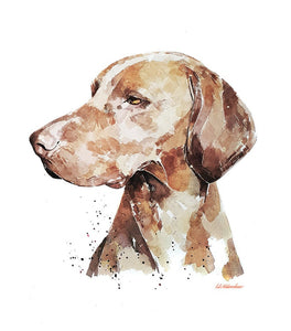Vizsla "A Penny for your thoughts" Print Watercolour Vizsla art,Vizsla print,Vizsla Watercolour,Vizsla Wall Decor, Vizsla Wall Hanging.