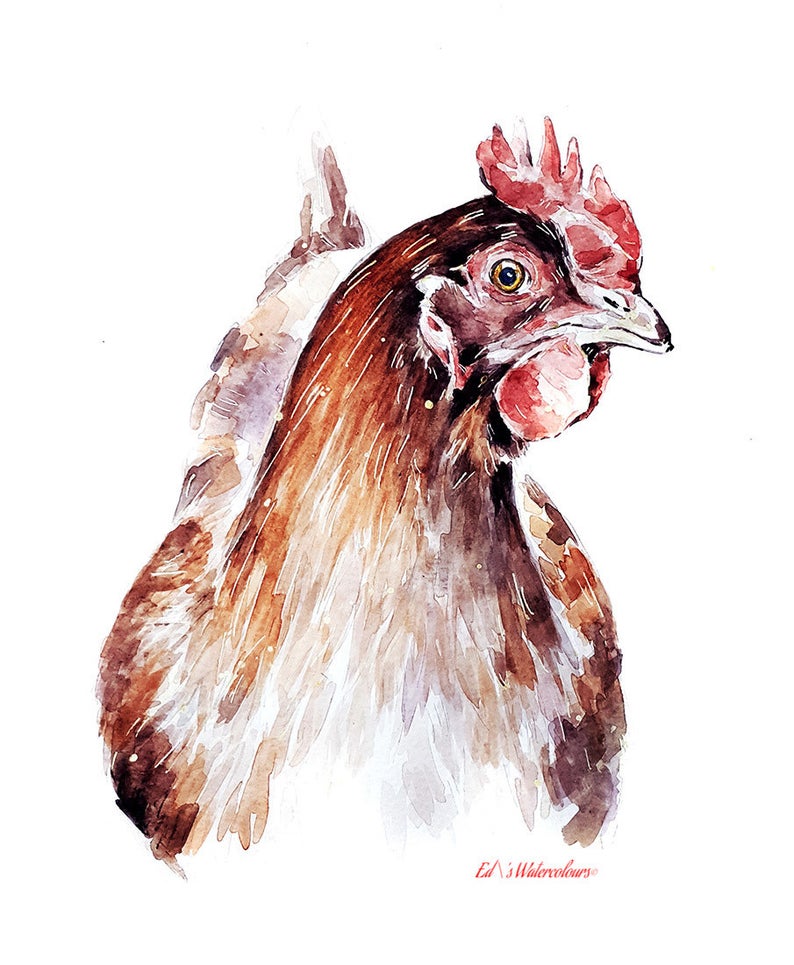 Lil Red- Watercolour Print.Chicken art, Chicken print, Chicken Wall décor, Chicken Watercolour Print