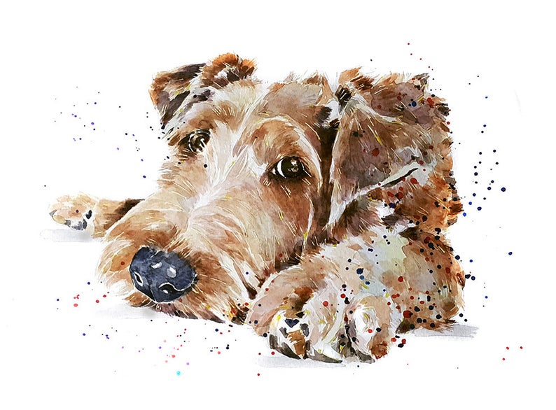 Irish Terrier Chilling" Print Watercolour.Irish Terrier Art,Irish Terrier watercolor,Irish Terrier Wall hanging,Irish Terrier decor