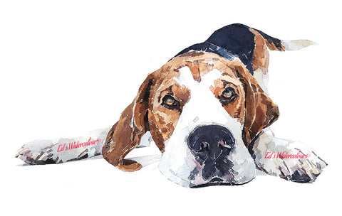 "Beagle (Play Time)" - Watercolour Original