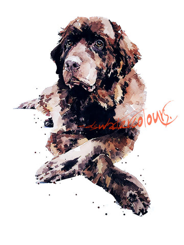 Brown Newfoundland Dog" - Original Watercolour Art.Newfie Original Watercolour