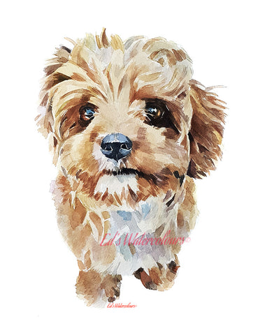 "Cavapoo/Cavoodle (Version 1)" - Watercolour Print