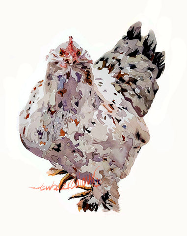Chicken II " - Original Watercolour Art