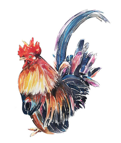 Boss - Watercolour Print.Chicken art, Chicken print, Chicken Wall décor, Chicken Watercolour Print
