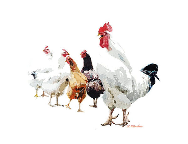 Chickens - Watercolour Print.Chicken art, Chicken print, Chicken Wall décor, Chicken Watercolour Print