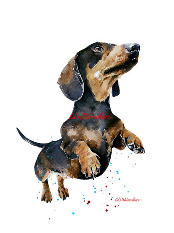 Flying Dachshund " Print Watercolour,Dachshund art,Dachshund print, Dachshund watercolor,Doxie watercolour, Sausage dog art print