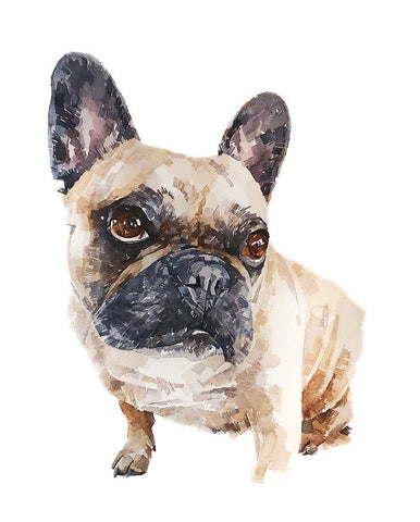 French Bulldog - Unblemished Innocence " Print Watercolour, frenchie watercolour, frenchie art print, frenchie wall hanging