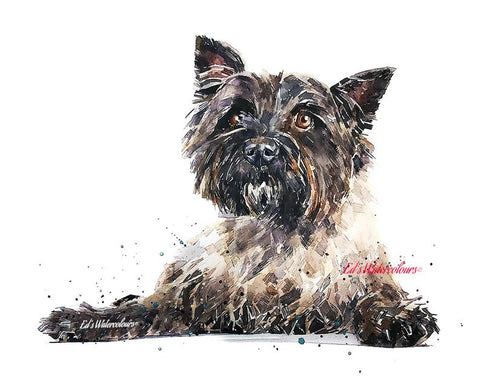 Cairn Terrier Reclined " Print Watercolour. Cairn Terrier art,Cairn Terrier print,Cairn Terrier watercolour print.Cairn Terrier dog art