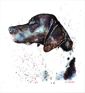 German Shorthaired Pointer " Print Watercolour,German Shorthaired Pointer,GSP print, GSP Art