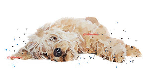 Goldendoodle Reclined." Print Watercolour.Goldendoodle art,Goldendoodle print,Goldendoodle watercolour art,Goldendoodle wall art