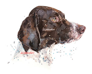 "German Short-Haired Pointer: The Thinker" Watercolour Original