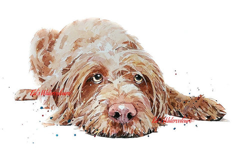 Wirehaired Vizsla 2 " Print Watercolour.Wirehaired Vizsla art,Wirehaired Vizsla print,Wirehaired Vizsla watercolour,Wire Vizsla wall art