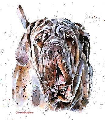 Neapolitan Mastiff -  Watercolour Print.Neapolitan Mastiff art,Neapolitan Mastiff print,Neapolitan Mastiff watercolour art