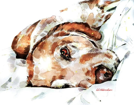 Labrador - Keep Calm, relax  "  Print Watercolour A3 (30*40cm/16*12 Inches)