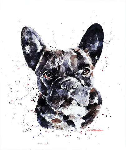 French Bulldog - Dark as the night, bright as the sun "Print Watercolour, frenchie watercolour, frenchie art print, frenchie wall hanging