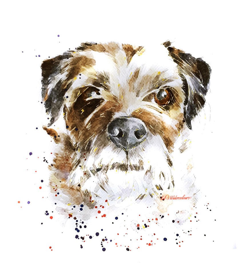 Border Terrier -Serious Soul" Print Watercolour,Border Terrier print,Border Terrier art,Border Terrier watercolour,Border Terrier wall art