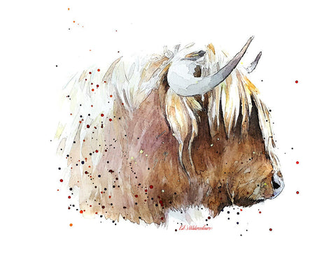 HIghland Cow" Print Watercolour