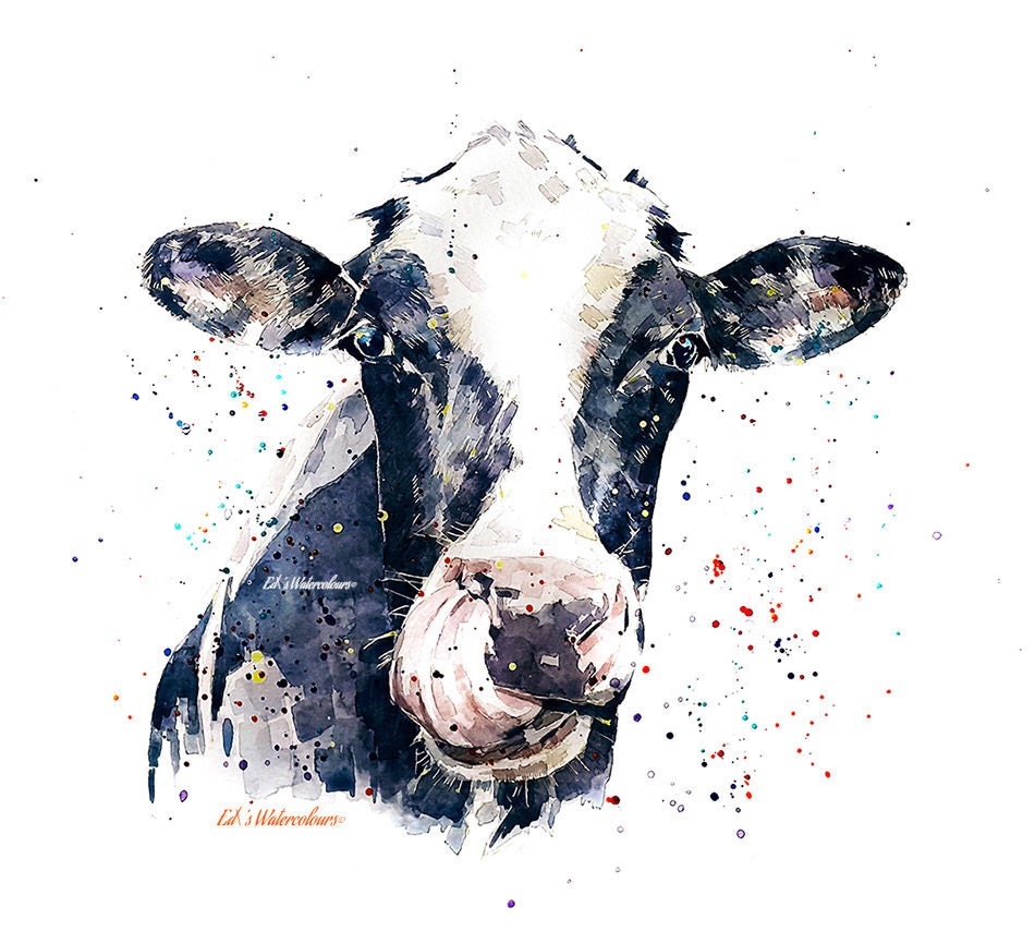 Holstein Friesian Cow "cleanliness is next to godliness" Print Watercolour.Cow art, cow print,cow watercolour,cow painting,cow wall art