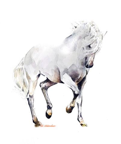 Unblemished 2" Print Watercolour.Horse art, Horse watercolour, Horse wall art, Horse wall print, Horse home decor, Horse art print