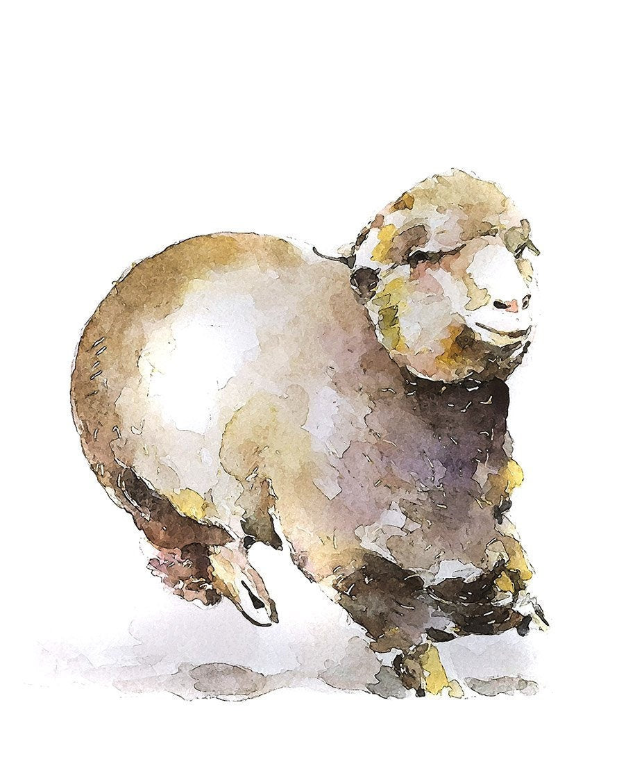 Sheep in Flight " Print Watercolour
