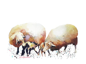 Sheep - F is for Family " Print Watercolour