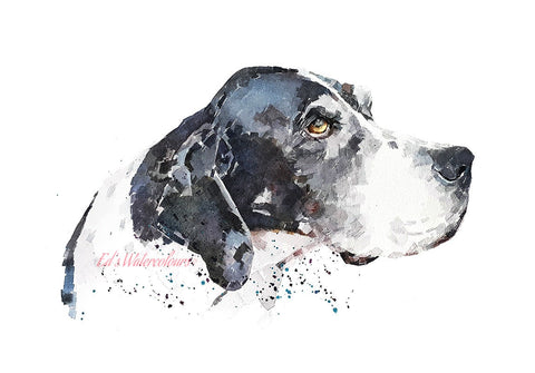 English Pointer - Print Watercolour.English Pointer art print,English Pointer watercolour art,English Pointer watercolor.