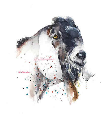 Nubian Goat Pride " Print Watercolour.Goat Art,Goat art print,Goat watercolour,Goat wall decor,Goat wall art,Goat art gift,Goat painting